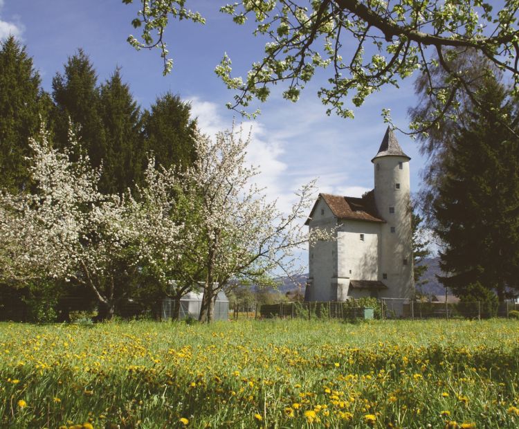 Textildruckmuseum Mittelweiherburg