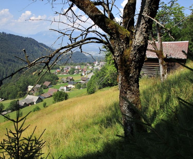 Wanderung durch das Laternser Tal Wanderung durch das Laternser Tal
