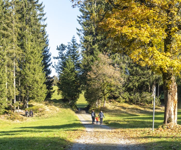 Bödele Herbstspaziergang