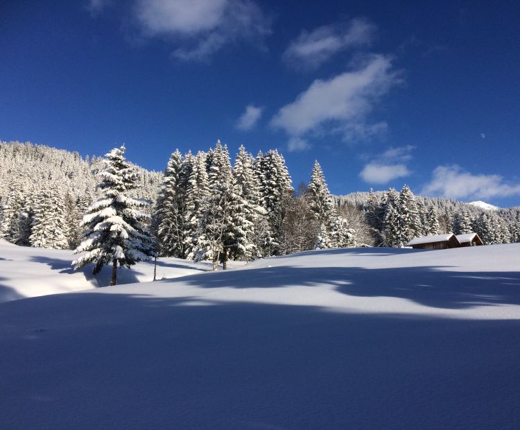 NÃ¤he Ausstiegsstelle Stelzer