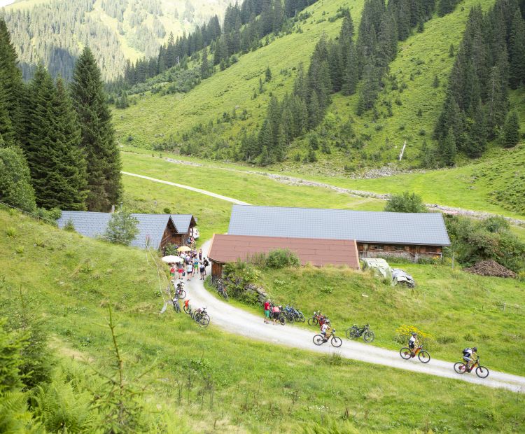 Untere Wasserstubenalpe