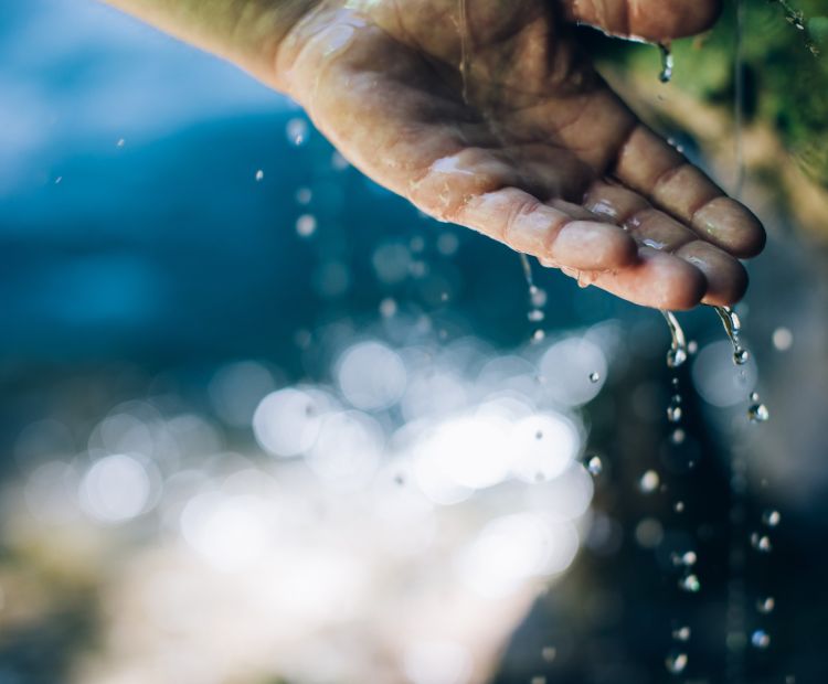 Hochalphütte Hochalphütte