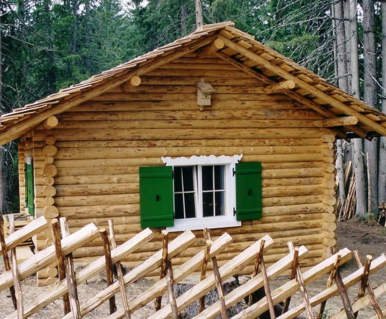 Christina Wachter - Kristbergbahn Waldschule