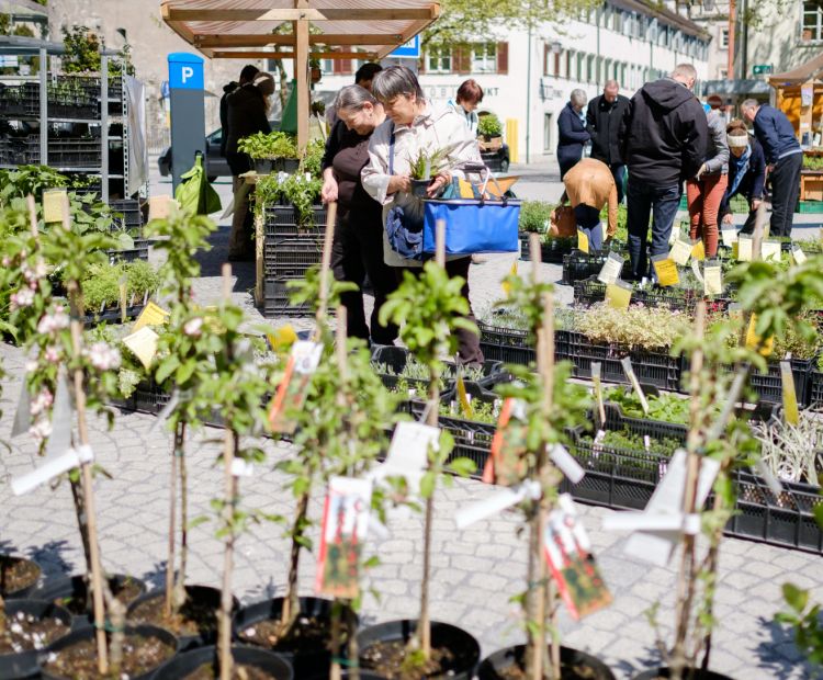 Erdreich (c) Matthias Rhomberg - Stadtmarketing und Tourismus Feldkirch GmbH Erdreich (c) Matthias Rhomberg - Stadtmarketing und Tourismus Feldkirch GmbH