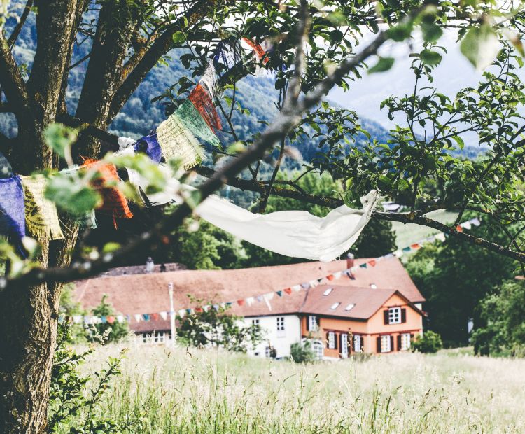 Feldkirch Frühling Feldkirch Frühling