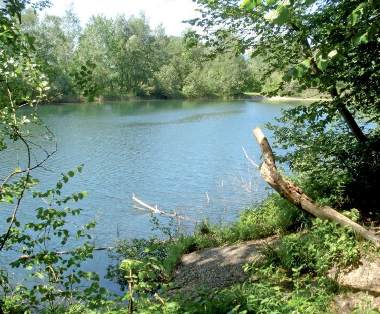 Alter Rhein zwischen SchmitterbrÃ¼cke und Wiesenrain