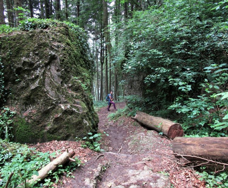 Talwanderung vom PfÃ¤nder