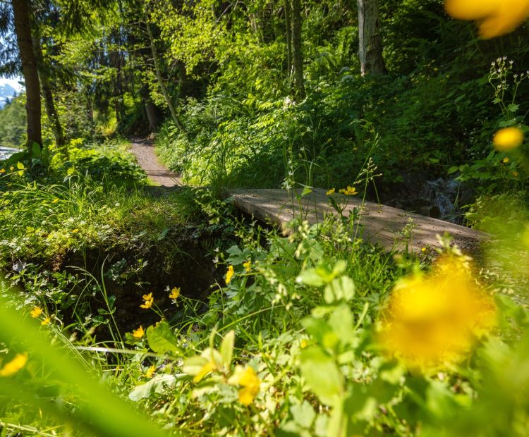 Talweg von St. Gallenkirch nach Partenen