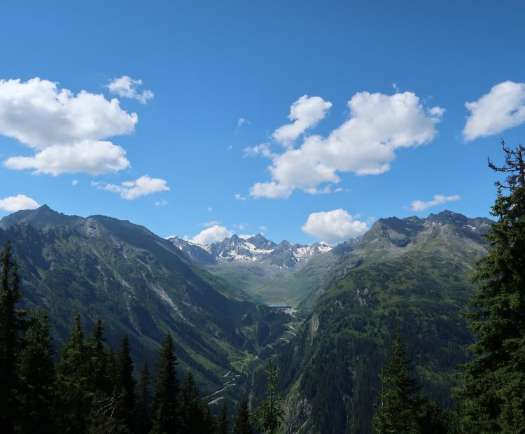 Niclas Bösch Vermunttal