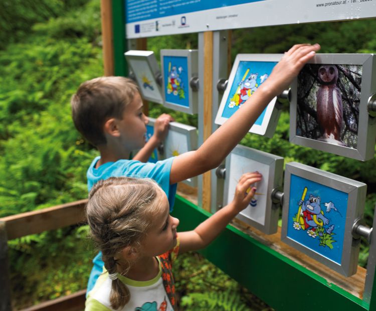 Golmi`s Forschungspfad - Natur-Memo Golmi`s Forschungspfad - Natur-Memo