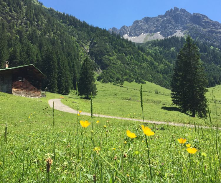 Gemsteltal im Sommer Gemsteltal im Sommer