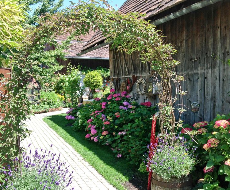 Gasthof Hotel Mohren Gasthof Hotel Mohren