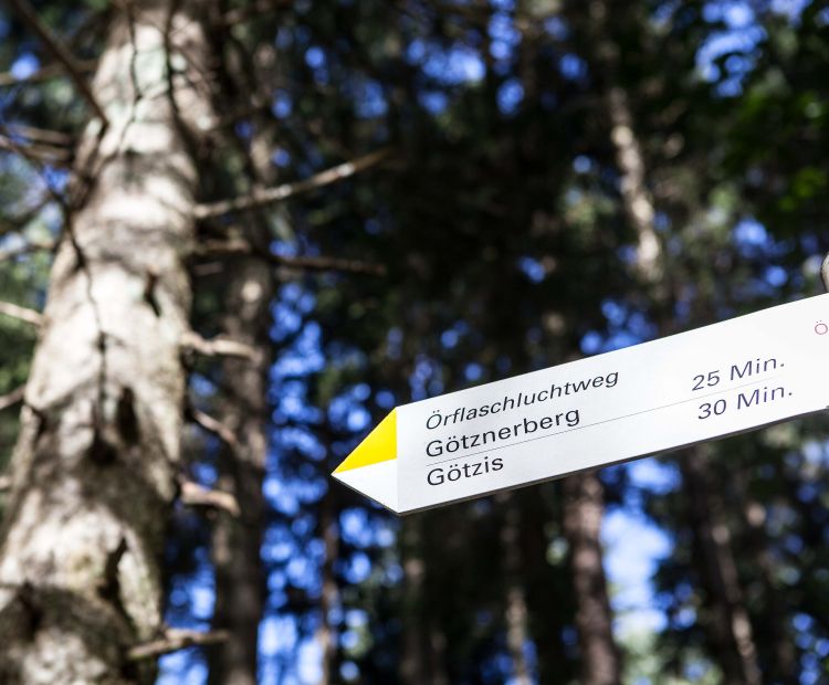Örflaschlucht Örflaschlucht