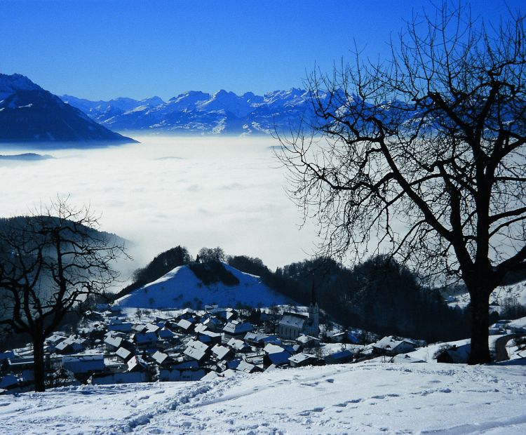 Helmut Tiefenthaler Blick auf Fraxern