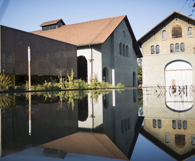 inatura und Kunstraum Dornbirn inatura und Kunstraum Dornbirn