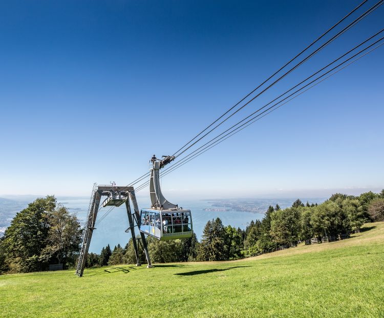 Bodensee urlaub singles