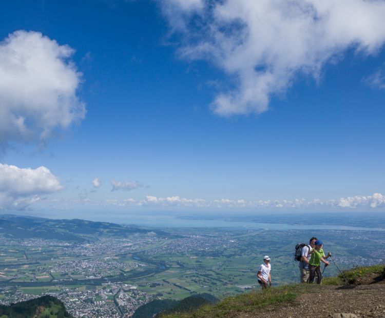 Blick von der Hohen Kugel auf Rheintal und Bodensee
