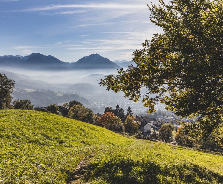 Aussicht Viktorsberg Aussicht Viktorsberg