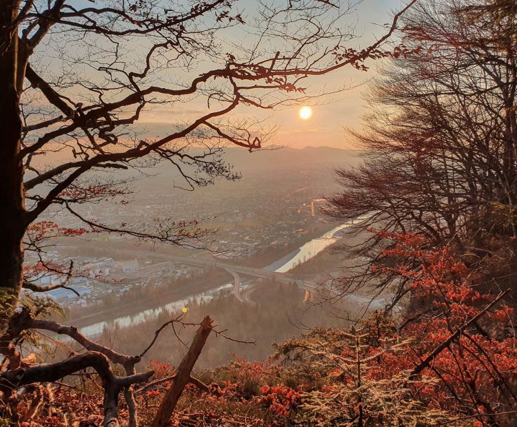 Sabrina Lutz Aussichtsreiche Talwanderung vom Pfänder über den Känzeleweg