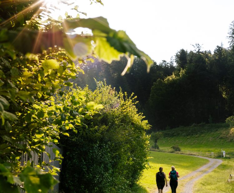 Wanderung Hohenweiler (c) Jessica Lerchenmueller (2)