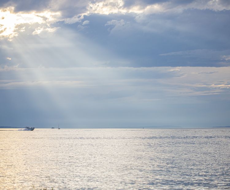 Rohrspitz FuÃach Höchst Rohrspitz FuÃach Höchst