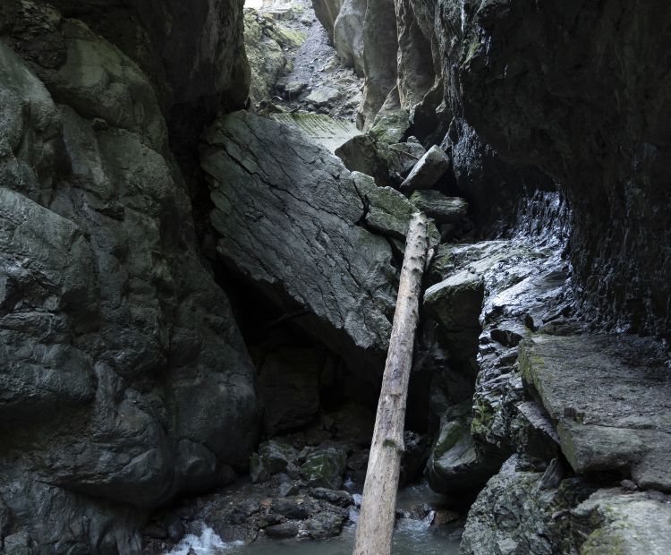 Rappenlochschlucht