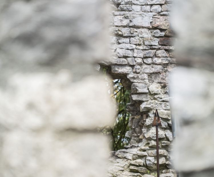 Ruine Alt-Ems Ruine Alt-Ems