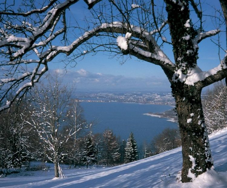 Ausblick vom Hintermoos Ausblick vom Hintermoos