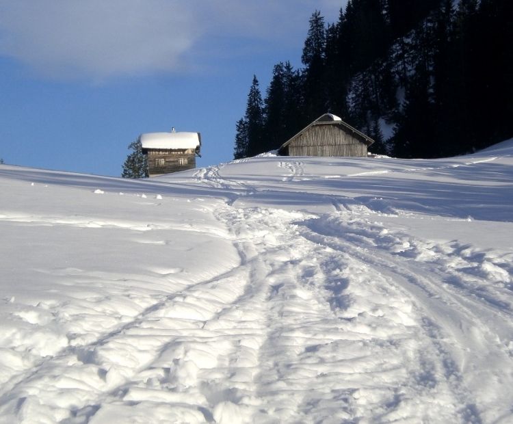 Skigebiet Bazora Skigebiet Bazora