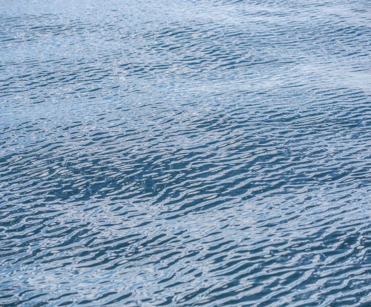 Wasser Bodensee
