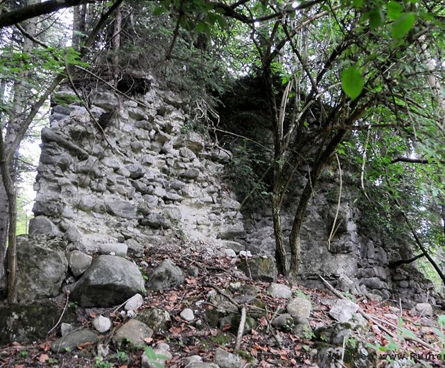 Barbara Neyer - Foto: Andy Winkler Burgruine Ruggburg