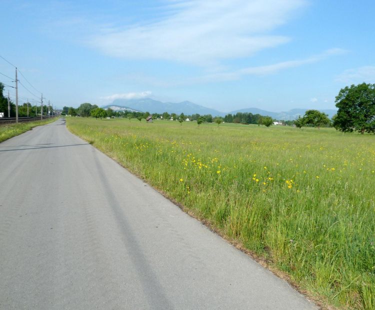 Christina Spritzendorfer Der Radweg entlang der Bahnschienen
