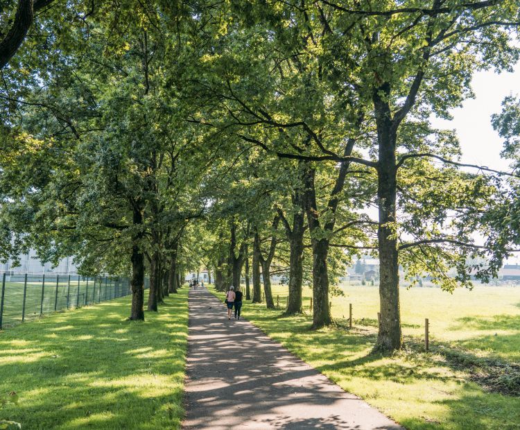 Kloster Mehrerau Bregenz