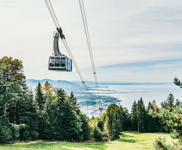 Pfänderbahn Pfänderbahn