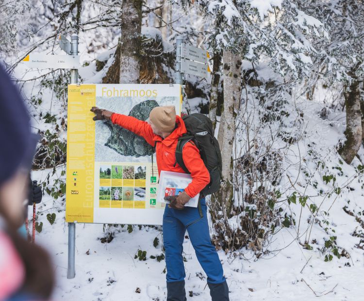 Naturpicknick Bödele