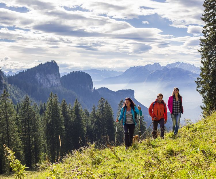 Wandern Hohenems Schuttannen