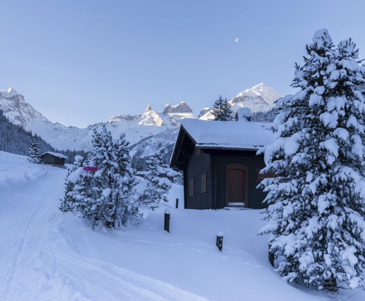 Winterwandern Gauertal Winterwandern Gauertal