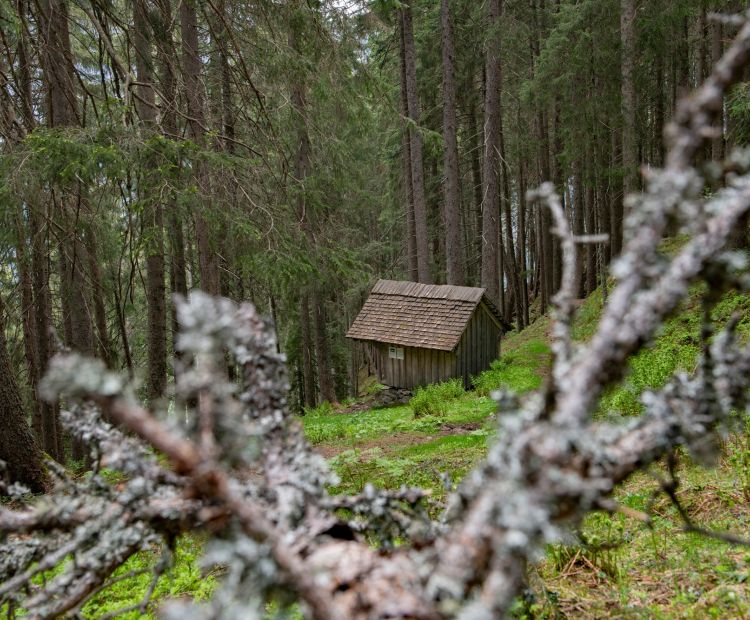 BruderhÃ¼sli im Dalaaser Wald