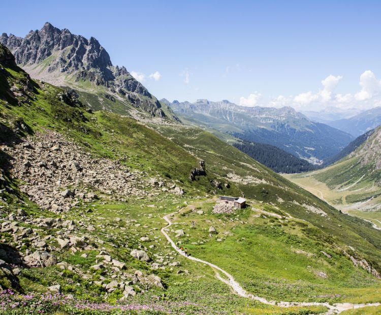 Valzifenztal (Zollhütte) Valzifenztal (Zollhütte)