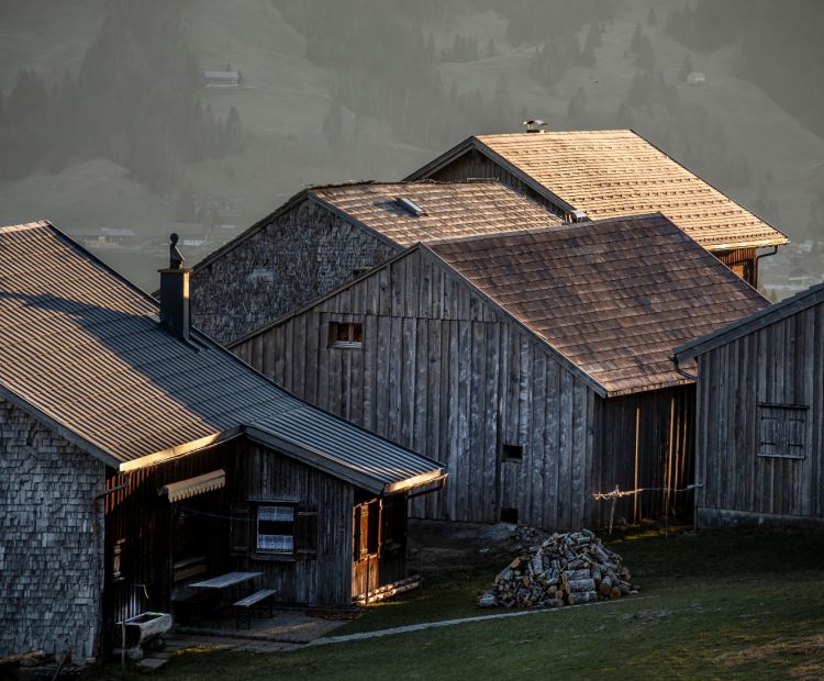 Hammeratsbergvorsäà in Schetteregg Hammeratsbergvorsäà in Schetteregg