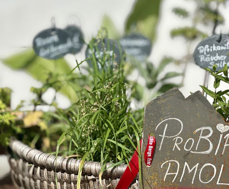 Probiar Amol Weg - Guter Tropfen