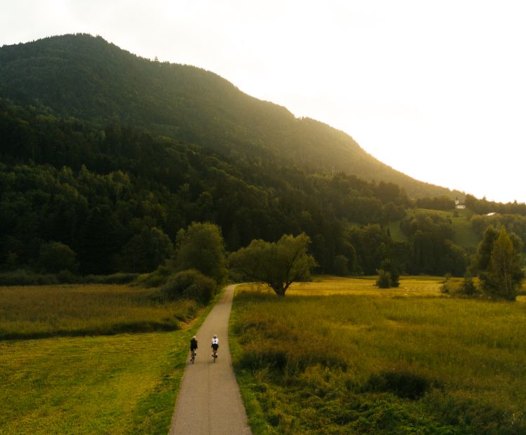 Fahrradfahrerinnen Abenstimmung Fahrradfahrerinnen Abenstimmung