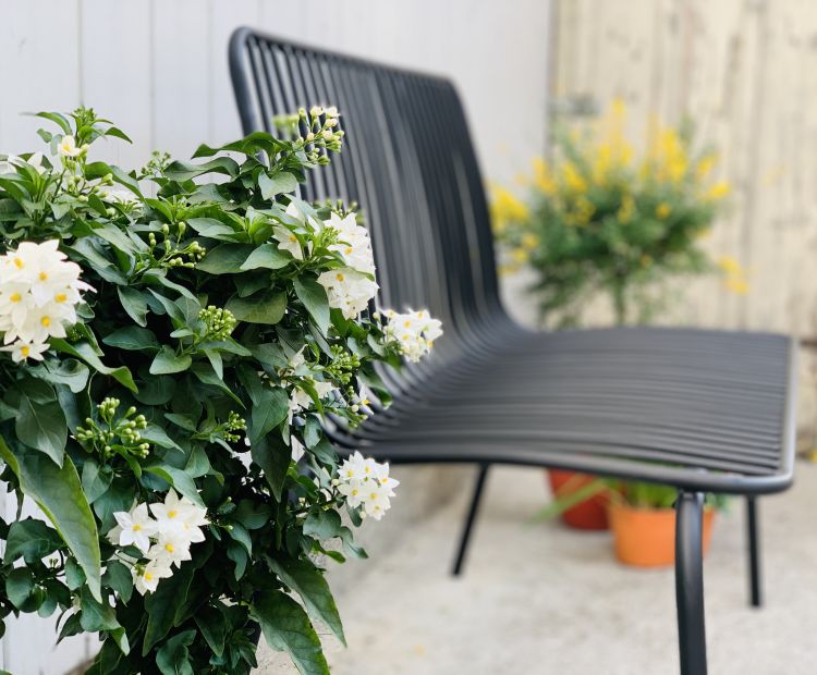 Casa Boho Apartment Hohenems