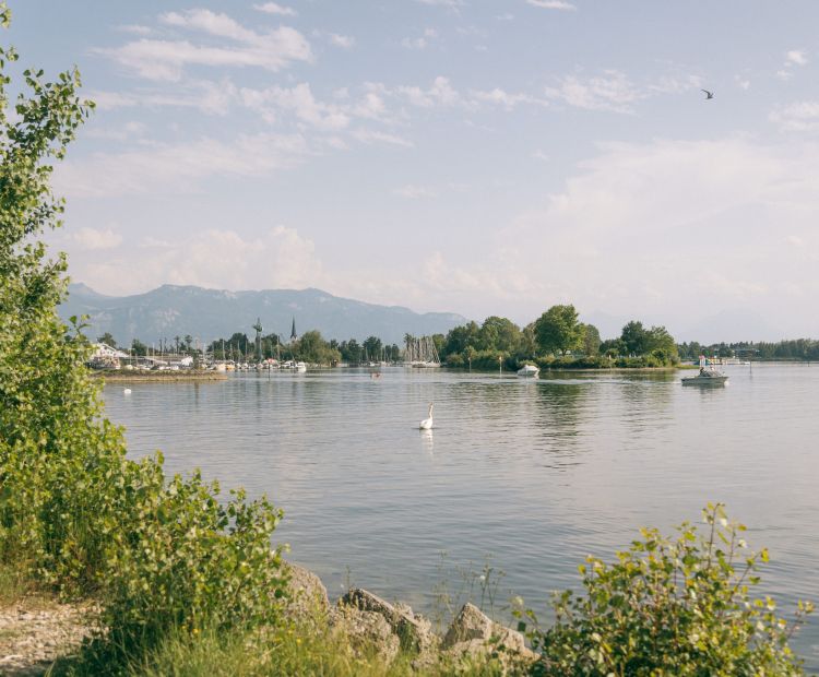 Hard Grüner Damm Hard Grüner Damm