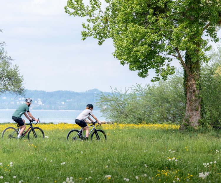 Gravelbike Bregenz