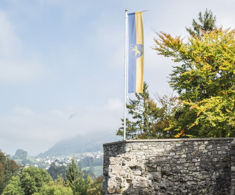 Ruine Alt-Ems Ruine Alt-Ems