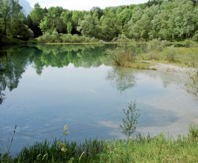 Von See zu See – Meiningen–Paspels–Rüttenen | Urlaub am Bodensee ...