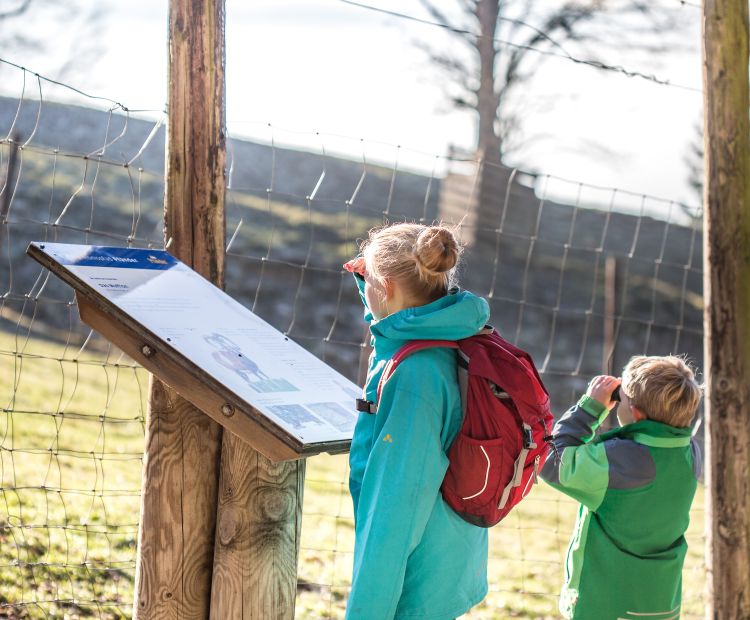 PfÃ¤nder Alpenwildpark