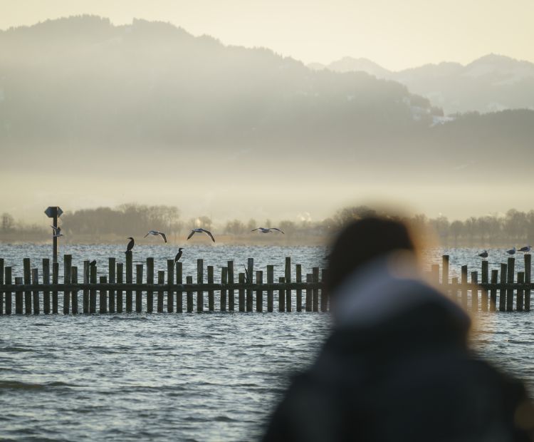 Birdwatching Rheinspitz Johanna Kronberger