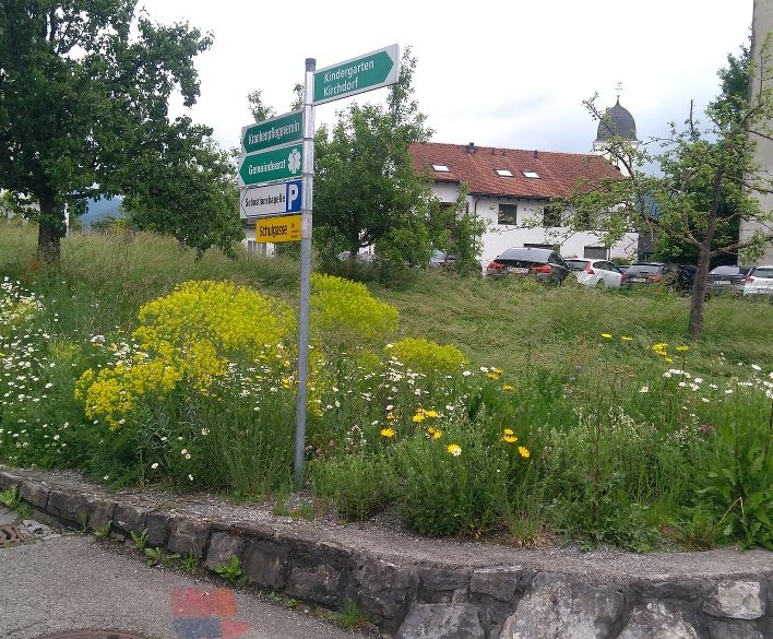 Gemeinde Göfis - Gemeinde Göfis Wildbienen/Bienenwiese